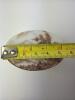 Portuguese Porcelain Landscape Trinket Box - 5