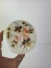 Hand Painted Opaline Glass Dresser Jar - 2