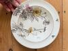 Antique floral transferware plate, yellow daisies