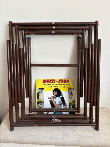 Multi-Step Household Ladder