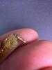 14K Gold Charms - 5