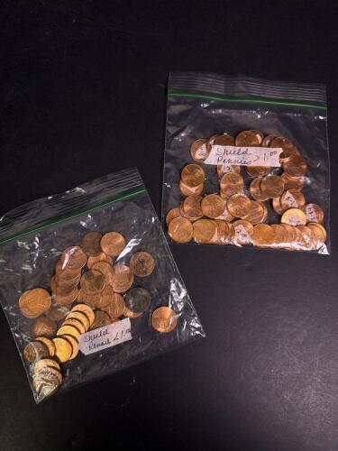 U.S. Shield Pennies Assortment