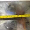 Walworth Genuine Stillson Pipe Wrench - 6