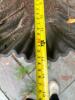 Metal Pedestal Bird Bath - 5