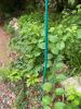 Outdoor Wind Chime with 5-Foot Teal Shepherd&rsquo;s Hook - 5