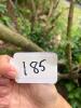 Large Metal Garden Sundial with Zodiac Symbols - 5