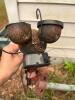 Whimsical Metal Ladybug Solar Garden Statue with "WELCOME" Sign - 4