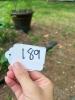 Whimsical Metal Ladybug Solar Garden Statue with "WELCOME" Sign - 6
