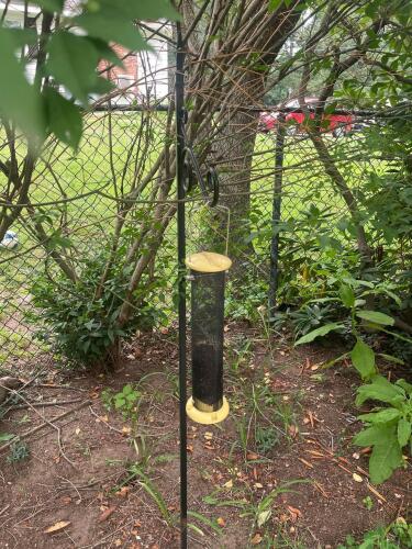 Audubon Tube-Style Mesh Bird Feeder w/ Black Metal Stand
