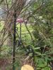 Audubon Tube-Style Mesh Bird Feeder w/ Black Metal Stand - 2