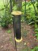 Audubon Tube-Style Mesh Bird Feeder w/ Black Metal Stand - 3