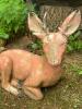 Deer Garden Figurine Statue - 2