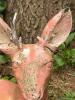 Deer Garden Figurine Statue - 3