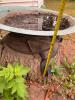 Extra Large Copper Green Patina Bird Bath with Wrought Iron Stand - 5