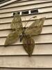 Large Outdoor Metal Butterfly Wall Art Sculpture