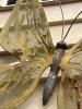 Large Outdoor Metal Butterfly Wall Art Sculpture - 2