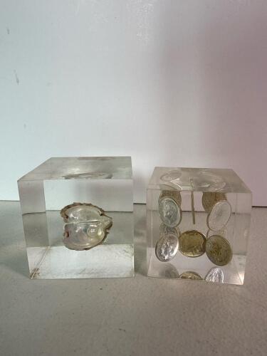 Lucite Display Cubes with Embedded Coins and Shells