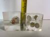 Lucite Display Cubes with Embedded Coins and Shells - 2