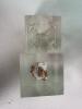 Lucite Display Cubes with Embedded Coins and Shells - 3