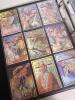 Native Americans Trading Cards Binder Set - 4