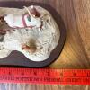 "Cutting the Family Christmas Tree" Schmid BFA Figurine by Lowell Davis - 7