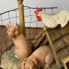 "Honeymoon's Over" Schmid BFA Figurine by Lowell Davis - 5
