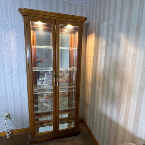 Lighted Glass Curio Cabinet With Brass Pulls