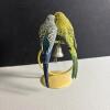 Cape Craftsmen Budgie Pair with Bell Figurine - 3