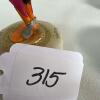 Warner Bros. Daffy Duck Limited Edition Figurine - 9