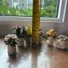 Collection of Six Tiny Ceramic Floral Arrangements - 9