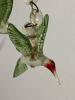 Glass-Like Hummingbird Wind Chime - 2