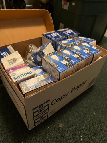 LED Light Bulbs and Mixed Bulbs