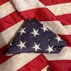 Pair Of American Flags - 2