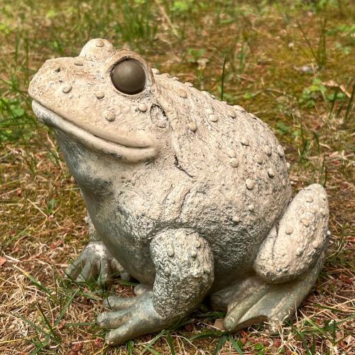 Concrete Garden Frog Statue