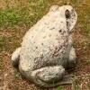 Concrete Garden Frog Statue - 2