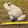 Concrete Garden Frog Statue - 6