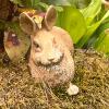 Resin Rabbit Garden Statue - 2