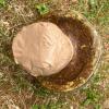Weathered Concrete Mushroom Garden Statue - 2