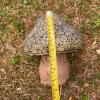Weathered Concrete Mushroom Garden Statue - 3