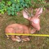 Concrete Deer Garden Statue - 3