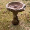 Concrete Bird Bath with Squirrel Motif - 2