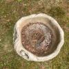 Concrete Bird Bath with Squirrel Motif - 3