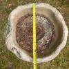 Concrete Bird Bath with Squirrel Motif - 6