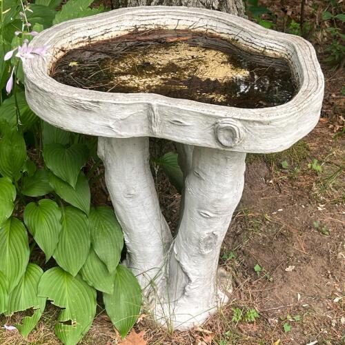 Concrete Garden Bird Bath with Faux Wood Texture