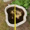 Concrete Garden Bird Bath with Faux Wood Texture - 5