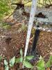 Cast Iron Bird Bath with Decorative Bird Accents - 16