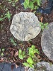 Decorative Garden Stepping "Stones" - 2