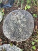 Decorative Garden Stepping "Stones" - 3