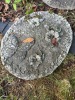 Decorative Garden Stepping "Stones" - 4