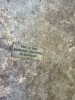 Decorative Garden Stepping "Stones" - 6